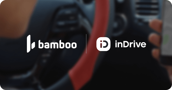 inDrive_general
