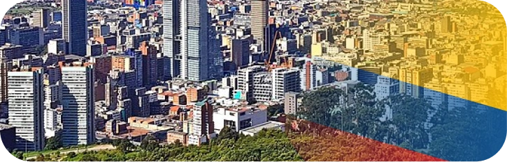 bamboo-in-colombia