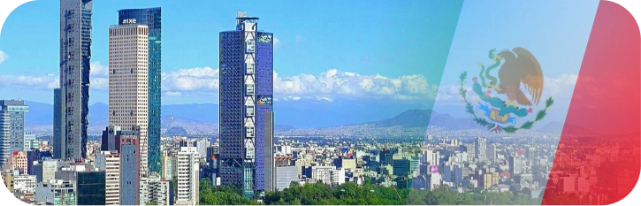 bamboo-in-mexico