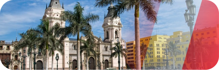 bamboo-in-peru